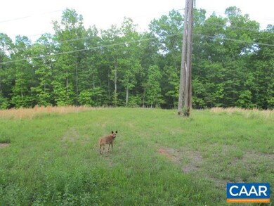 200 ac Buck Island Rd, Scottsville, VA 22902 - photo 2