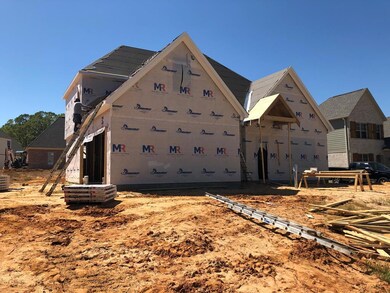 420 Elizabeth Ct, Oxford, MS 38655 - photo 5