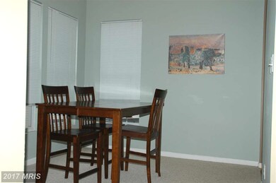 46588 Drysdale Terrace unit 300, Sterling, VA 20165 - photo 6