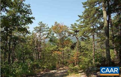 1 Brokenback Mountain Rd, Free Union, VA 22940 - photo 5