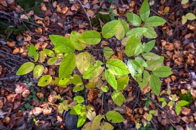 Off S Turtle Lake Rd unit S5, Winchester, WI 54557 - photo 5