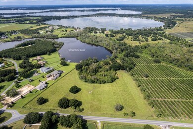 17937 County Road 448, Mount Dora, FL 32757 - photo 7