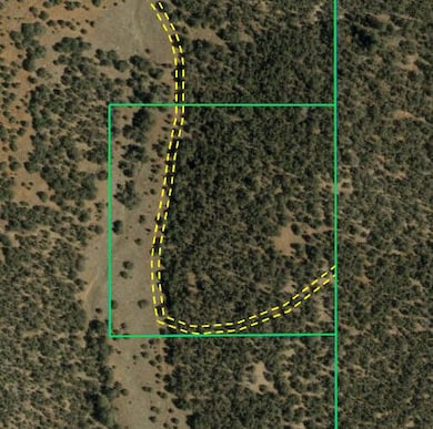600 Forest Road 462, Tijeras, NM 87059 - photo 5