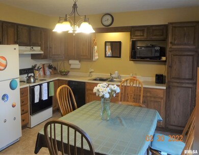 805 Bryan Ave, Lincoln, IL 62656 - photo 7