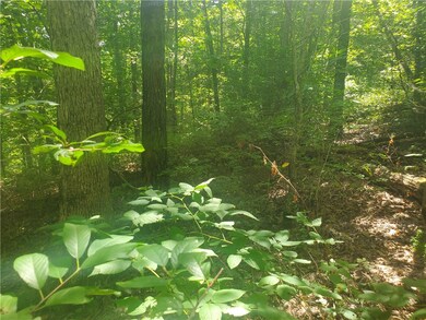 0 Netherton Ln, Bella Vista, AR 72715 - photo 4