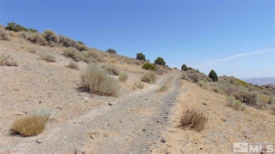 00429110 Sutro Springs Rd unit 4-291-10, Dayton, NV 89403 - photo 7