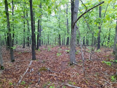 0 Milburn Ln unit 1244512, Bella Vista, AR 72715 - photo 3