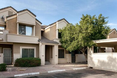 Elm_Tempe-2