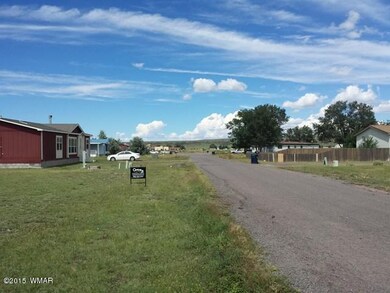 Lot 16 Hillcrest Subsivision, Springerville, AZ 85938 - photo 3