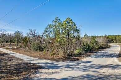 Vacant (1.04) Breeze Dr 2nd, Perry, FL 32348 - photo 3