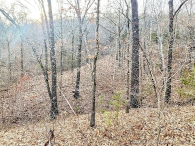 0 E 950 Rd unit 2542577, Cookson, OK 74427 - photo 6