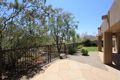 Backyard (1)