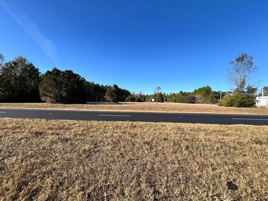 0 NW US Hwy 19 N unit 795246, Chiefland, FL 32626 - photo 3