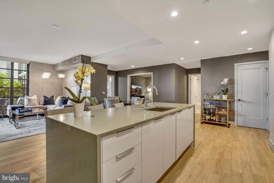 Vio unit 302, Washington, DC 20024 - photo 6