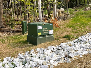 Lots 4-9 Fern Lake Rd, Goshen, VT 05733 - photo 6