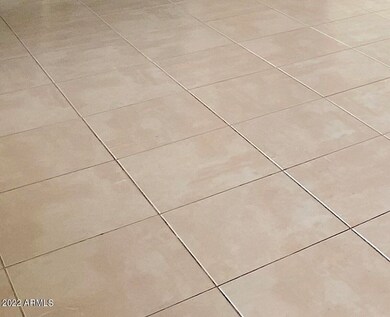 IMG_3041 ALL TILE 2