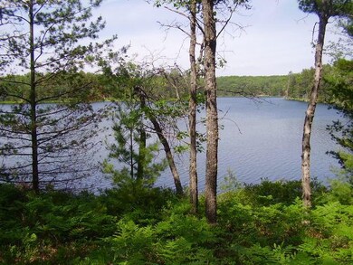 Cranberry Lake Elevated View # 2