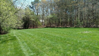 50 back yard