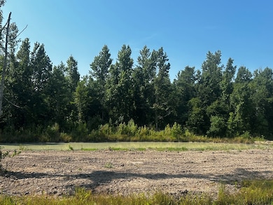 0 Willie Varnum Rd, Dothan, AL 36301 - photo 3