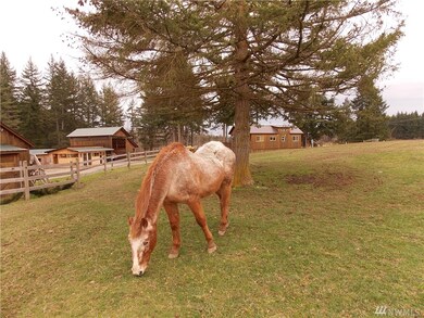 15005 129th Ln SE, Yelm, WA 98597 - photo 3