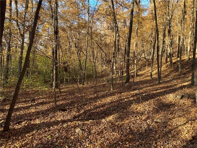 0 Madison 4095 unit 1204133, Crosses, AR 72727 - photo 4