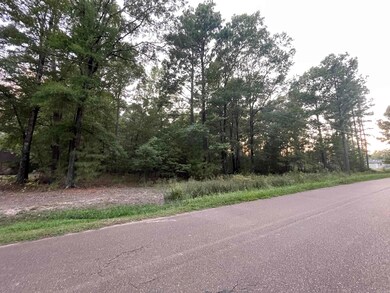 210 Ouachita Ave SW, Camden, AR 71701 - photo 4