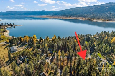 Drone / aerial view of a water and mountain view