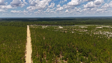 0 Beaver Dam Rd unit 25030817, Cassatt, SC 29032 - photo 4