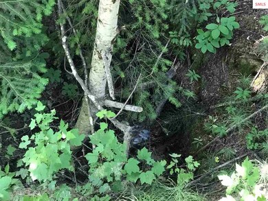 Blk 3 Lot 4 Carr Creek Rd, Sandpoint, ID 83864 - photo 5