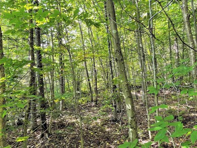 VT Vermont Route 100, Weston, VT 05161 - photo 7