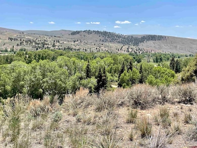 8077 State Highway 135, Gunnison, CO 81230 - photo 5