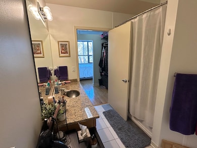 Liberty Lofts Condos unit 305, Ann Arbor, MI 48103 - photo 5