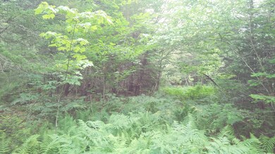 20210703_140026_Film4