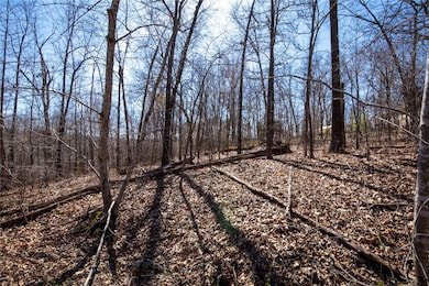 0 Nidd Ln unit 1237884, Bella Vista, AR 72714 - photo 3