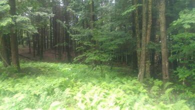 0 Chandler Rd, Northfield, VT 05663 - photo 6