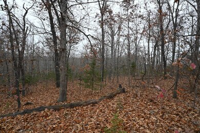 21010 Trailing Vine Ln, Lebanon, MO 65536 - photo 6