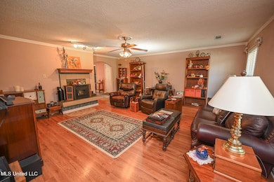 20 James Black Rd, Olive Branch, MS 38654 - photo 6