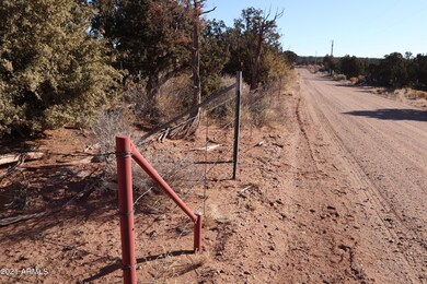 Southern boundary fence