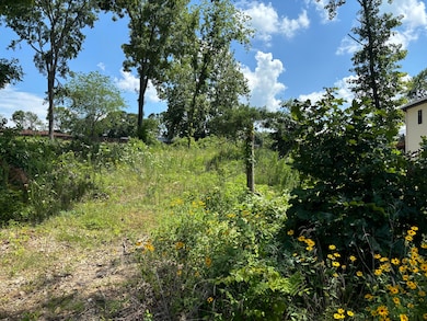 56 N Fork Ln, Williams Township, MO 65747 - photo 3