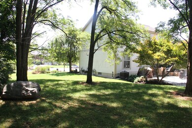 Side Yard