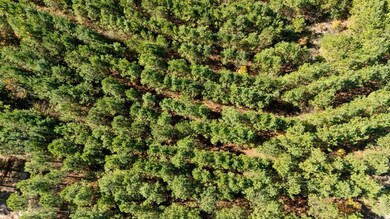 293 Legacy Vista Trail, Broken Bow, OK 74728 - photo 6