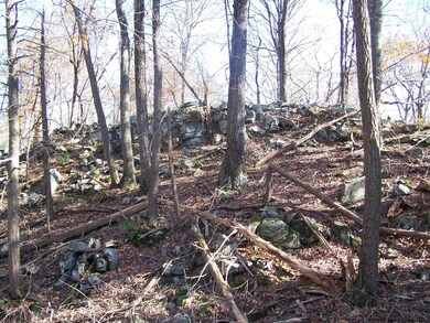 334 Swartekill Rd, Esopus, NY - photo 7