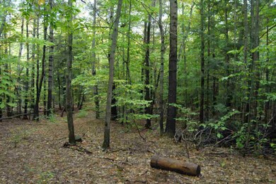 35 Hummel Dr, Corinth, NY 12822 - photo 2