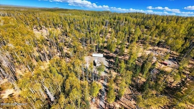 03-Photo_010