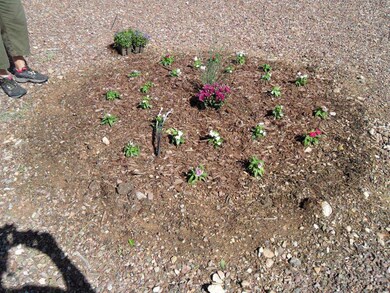 Front Flowers 2