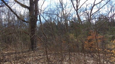 1 Baxter Ridge Rd, Lawrenceburg, KY 40342 - photo 6