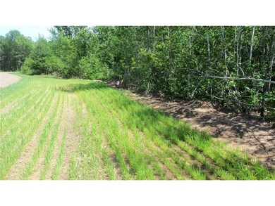 LOT 12 Red Maple Ln, Siren, WI 54872 - photo 4