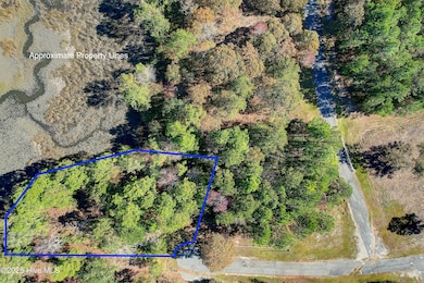 Approximate Lot Lines