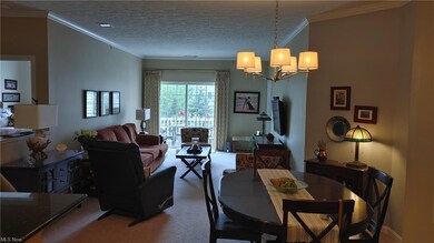 708 Aqua Marine Blvd unit 27, Avon Lake, OH 44012 - photo 2