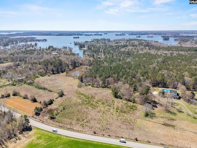 0 Amicks Ferry Rd, Chapin, SC 29036 - photo 6